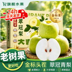 鲜其 正宗砀山梨青梨翠冠梨 5斤 果王级I单果350+g