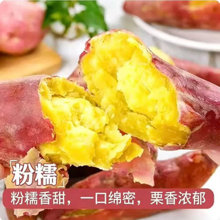 林大 秦薯5号红薯 皮薄无丝 5斤装 根茎类蔬菜