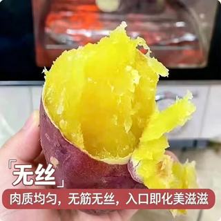 林大 秦薯5号红薯 皮薄无丝 5斤装 根茎类蔬菜