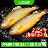 88VIP：other 山东青岛深海大黄花鱼 0.5kg 袋装