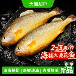 other 山东青岛深海大黄花鱼 0.5kg 袋装