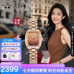 海鸥 经典复古 女士自动机械表  510.77.1081L摩卡渐变棕