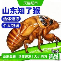 88VIP：云储生活 中国大陆 知了猴瓶装 300g