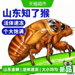 云储生活 中国大陆 知了猴瓶装 300g