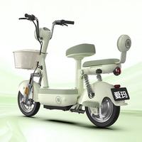 爱玛 小金豆 48V21AH石墨烯电池 锡林浅绿 新国标电动自行车