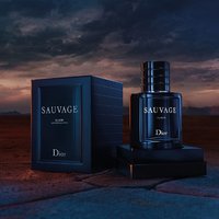 Dior 欧洲直邮Dior迪奥旷野男士典藏香精香水 EDP浓香水持久木质正品
