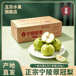 玉芬翠冠梨 新鲜现摘 净重4.5斤