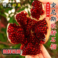 贡鲜果农突尼斯软籽 单果250g+ 净重4.5-5斤
