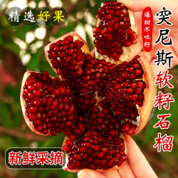 贡鲜果农突尼斯软籽 单果250g+ 净重4.5-5斤
