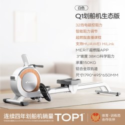 麦瑞克 Q1 磁阻划船机 MRSRM53163