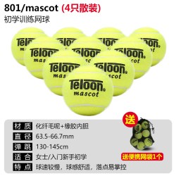 天龙 网球训练球603rising801初学专业比赛高回弹力袋装耐磨
