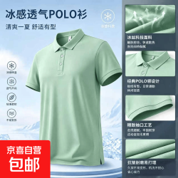 京喜 冰丝短袖polo衫男高端商务透气速干男士短袖t恤青少年体恤上衣 男 8208豆绿色 XL
