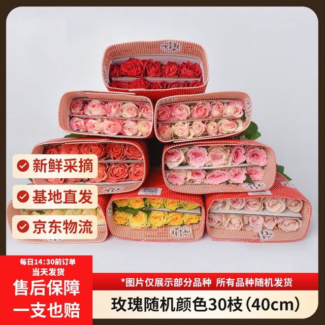 今日必买：京东鲜花 玫瑰花鲜花 随机颜色30枝2-3种颜色