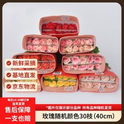 京东鲜花 玫瑰花鲜花 随机颜色30枝2-3种颜色