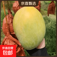 正宗四川攀枝花 凯特 芒果山大青黄皮芒