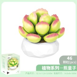 潘洛斯 inbrixx积乎植物系列多肉盆栽拼装玩具花束积木摆件礼物