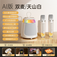 琮音 话筒音响一体唱歌家用k歌麦克风音箱家庭ktv蓝牙无线儿童政府补贴