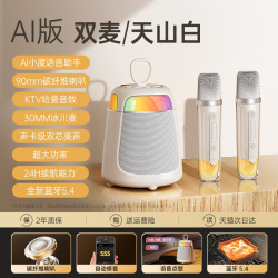 琮音 话筒音响一体唱歌家用k歌麦克风音箱家庭ktv蓝牙无线儿童政府补贴