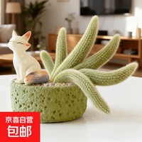 九尾狐多肉植物长白软毛老桩精品盆栽摆件好养绿植仙人掌科 1颗九尾狐8-10厘米