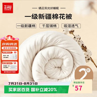 张御 新疆棉花 夏凉被空调被 单人  1.5x2米 2斤
