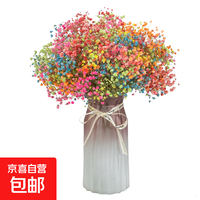 京喜 七彩满天星500g（长度45-55CM） 一份