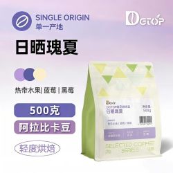 DGTOP 瑰夏手冲咖啡豆500g