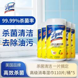 Lysol 乐守乐守高级消毒湿巾 安全无刺激温和杀菌清洁  550片