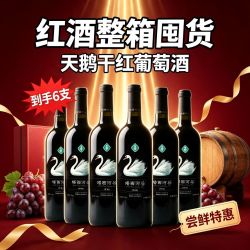 塔西河谷 碧羽赤霞珠干红葡萄酒 750ml*6瓶