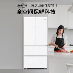 海尔 云溪系列 BCD-501WGHFD1GRWU1 风冷法式门冰箱 501L 冰雪白