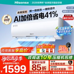 海信 空调大1.5匹挂机新一级智能变频节能家用冷暖两用卧室壁挂式