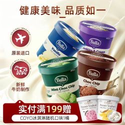 Bulla 薄荷巧克力曲奇香草大桶冰淇淋 460ml/290g