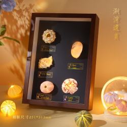 木易 天然贝壳海螺灯创意手工diy发光小夜灯卧室桌面摆件情侣生日礼物 贝壳小夜灯--潮湾遗贝 (成品)