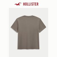 HOLLISTER 男士T恤