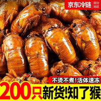 俏香匠 知了猴金蝉 50只