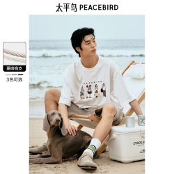 太平鸟 男装T恤BWCNE2277 白色第一批（阔型） L