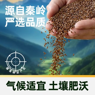 瑞利来 血燕麦黑麦片奇亚籽 1kg 五谷杂粮