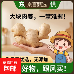 东东农场 山东特级老姜 250g
