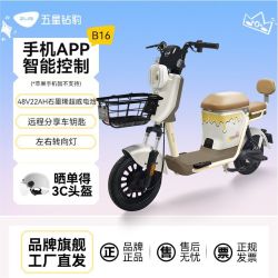 五星钻豹 B16 48V22Ah 新国标电动自行车
