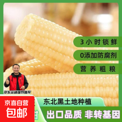 东北 白糯玉米 非转基因 270-320克/支*10支