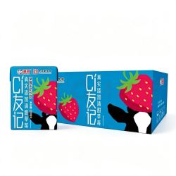 海河乳业 海河 新品CI友记草莓可可牛奶 草莓味200ml*10盒