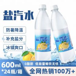 壁坳 盐汽水 600ml*24瓶 整箱批发