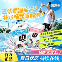 胖东来 同款电解质运动饮料冲剂电解质粉电解质水冲剂户外高温补给