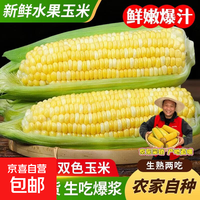 东东买菜 云南金银水果玉米 9斤(约11-16棒)