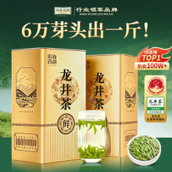 阳春西湖 龙井茶叶绿茶特级2026新茶龙井豆香型冷泡茶250g自己喝茶叶礼盒装