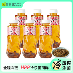 唯可鲜 正山小种100%HPP氷叶冷萃茶红茶 0糖0脂0卡饮料无糖茶450ml*6瓶