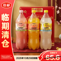 Lemon Republic 云雾礼盒气泡果汁1.25L*6瓶大瓶家庭装聚餐送礼