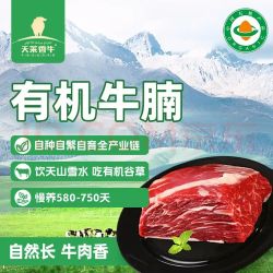 天莱香牛 有机牛腩 500g