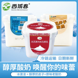 西域春 新疆西域春原味桶装酸牛奶大桶全脂风味水果捞发酵乳 原味1000g