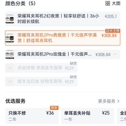 荣耀 Earbuds 2 Pro 耳夹式主动降噪无线蓝牙耳机