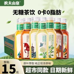 农夫山泉 东方树叶无糖茶饮料500ml*15瓶0糖0脂0卡菊花普洱新 茉莉/